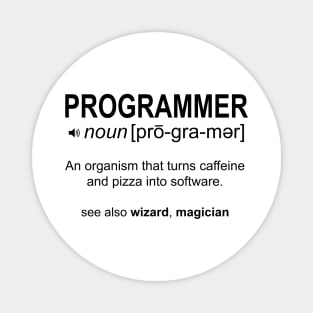 Programmer Definition Magnet